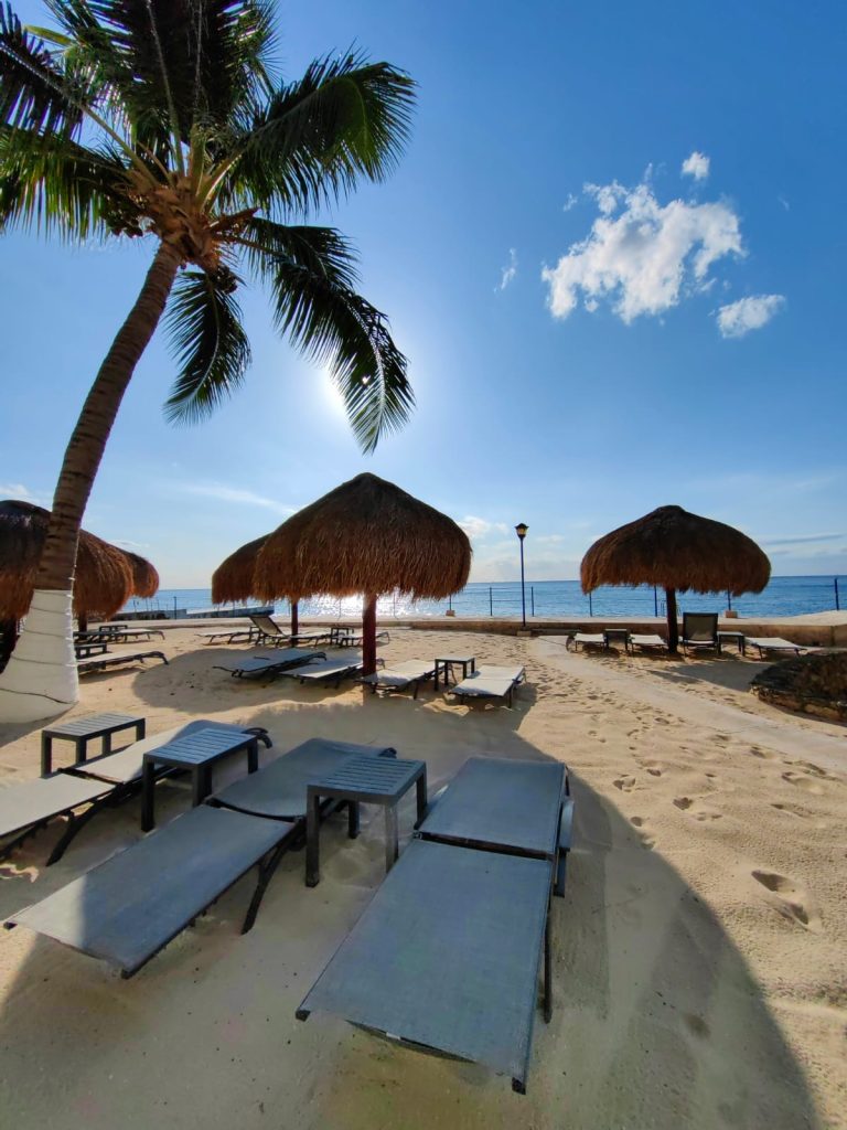 Beachside area with multiple sun loungers